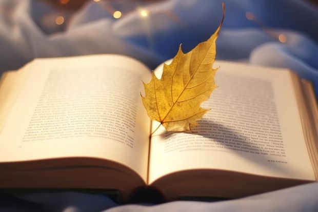 孩子户口是内蒙古的,一直在沈阳上学,可以在沈阳高考吗?