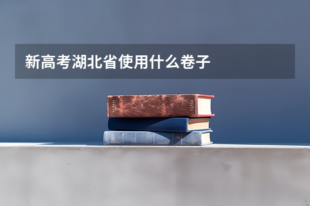 新高考湖北省使用什么卷子