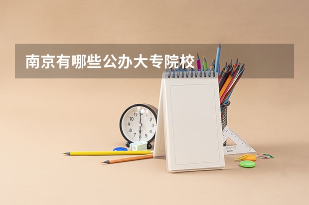 南京有哪些公办大专院校