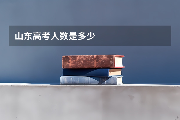 山东高考人数是多少