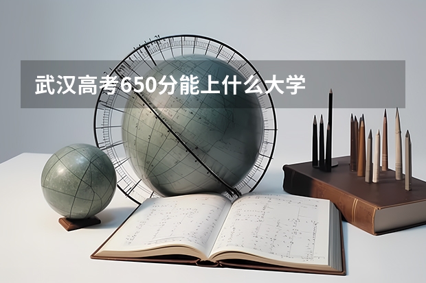 武汉高考650分能上什么大学