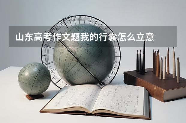 山东高考作文题我的行囊怎么立意