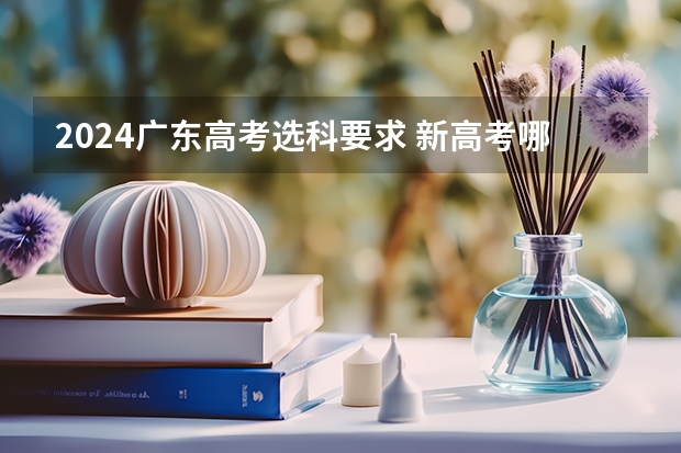 2024广东高考选科要求 新高考哪几个省份2024？