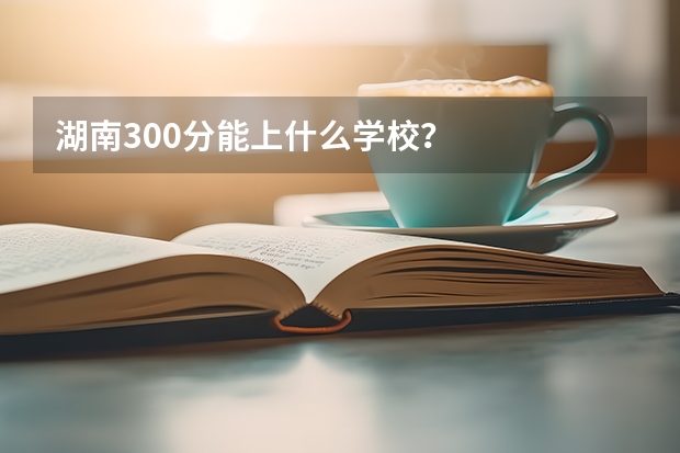 湖南300分能上什么学校？