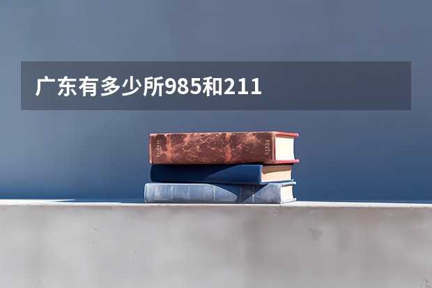 广东有多少所985和211
