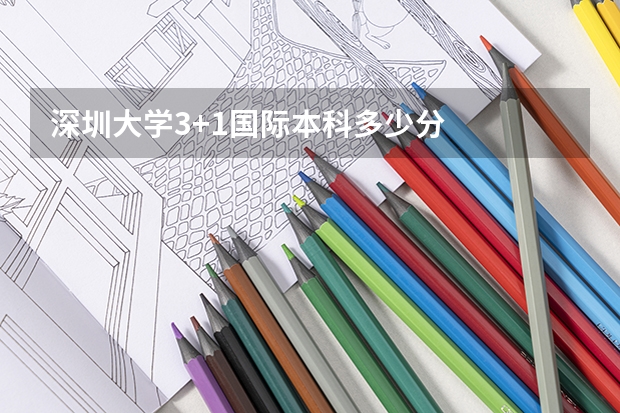 深圳大学3+1国际本科多少分