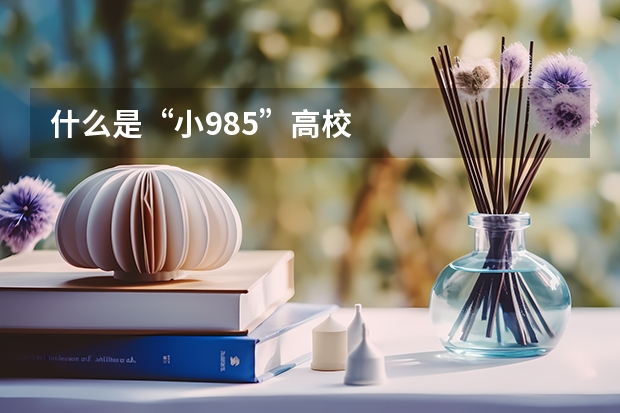 什么是“小985”高校