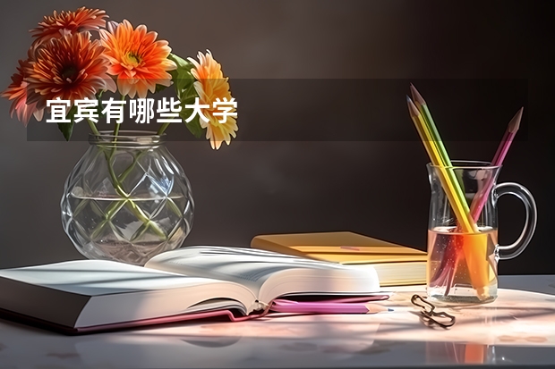 宜宾有哪些大学
