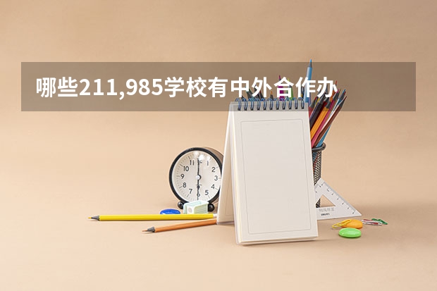 哪些211,985学校有中外合作办学