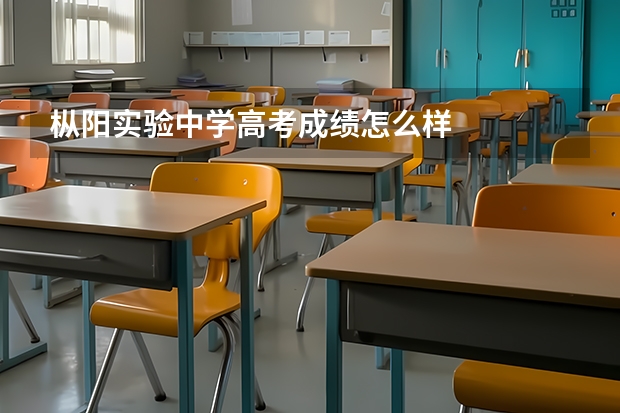 枞阳实验中学高考成绩怎么样