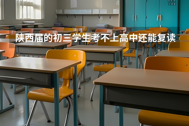 陕西届的初三学生考不上高中还能复读吗?