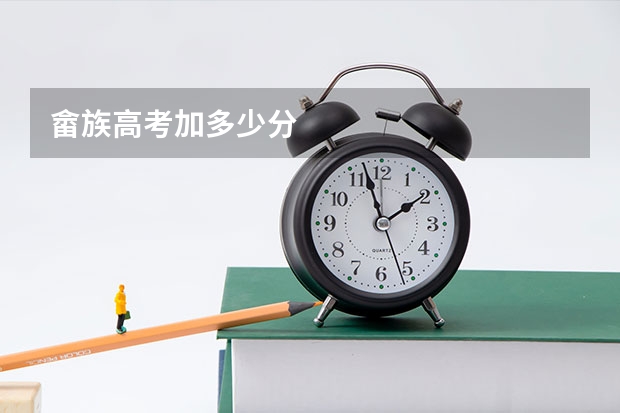 畲族高考加多少分