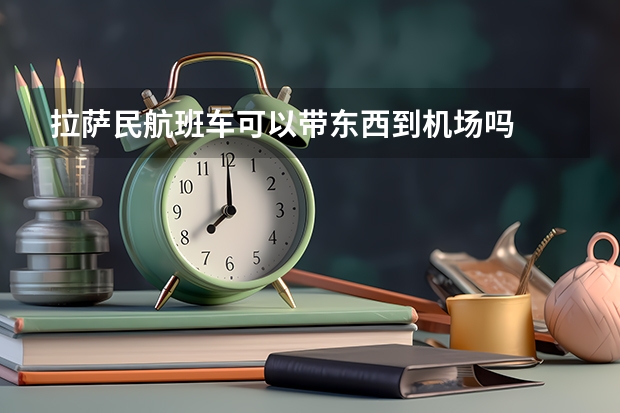 拉萨民航班车可以带东西到机场吗