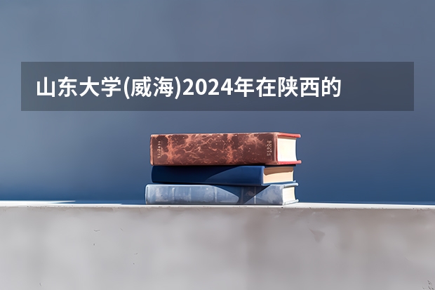 山东大学(威海)2024年在陕西的招生情况