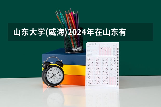 山东大学(威海)2024年在山东有什么招生计划