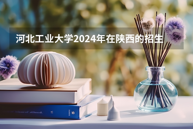 河北工业大学2024年在陕西的招生情况
