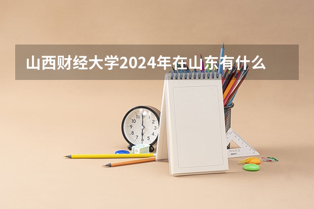 山西财经大学2024年在山东有什么招生计划