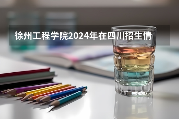 徐州工程学院2024年在四川招生情况