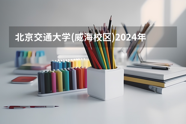 北京交通大学(威海校区)2024年在上海招生情况