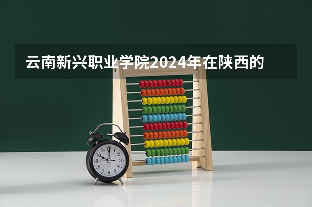 云南新兴职业学院2024年在陕西的招生情况