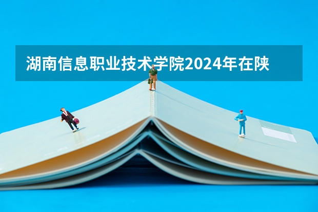 湖南信息职业技术学院2024年在陕西的招生情况