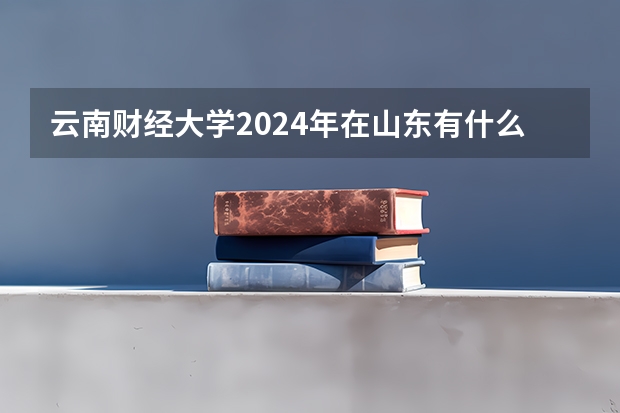云南财经大学2024年在山东有什么招生计划