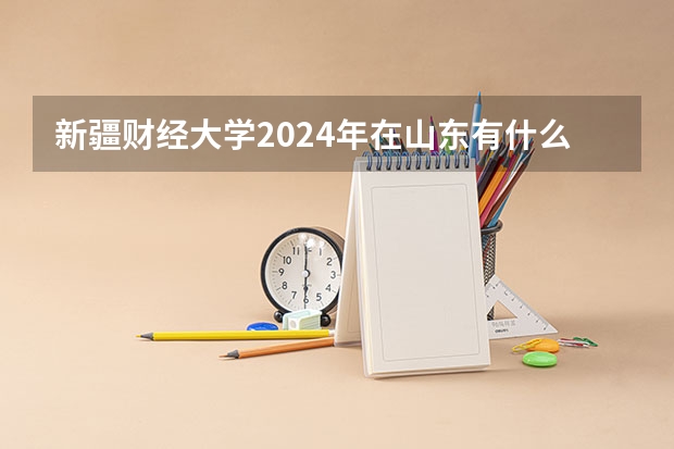 新疆财经大学2024年在山东有什么招生计划