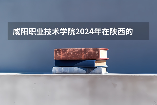 咸阳职业技术学院2024年在陕西的招生情况
