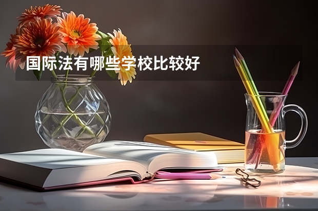 国际法有哪些学校比较好