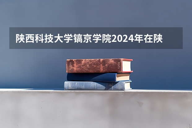 陕西科技大学镐京学院2024年在陕西的招生情况