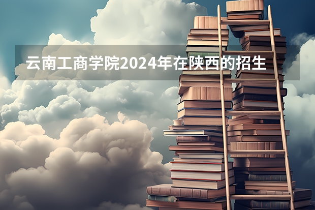 云南工商学院2024年在陕西的招生情况