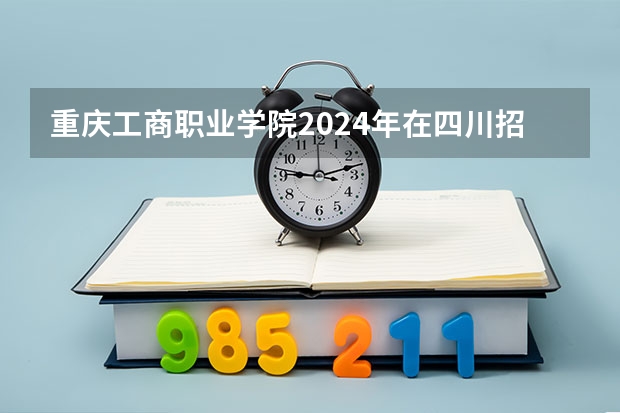 重庆工商职业学院2024年在四川招生情况