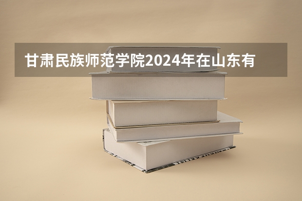 甘肃民族师范学院2024年在山东有什么招生计划