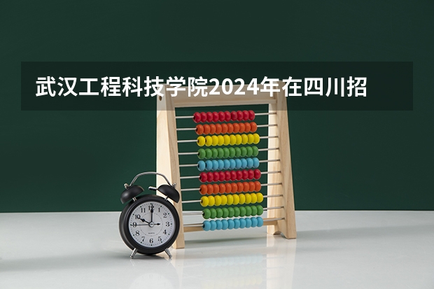 武汉工程科技学院2024年在四川招生情况