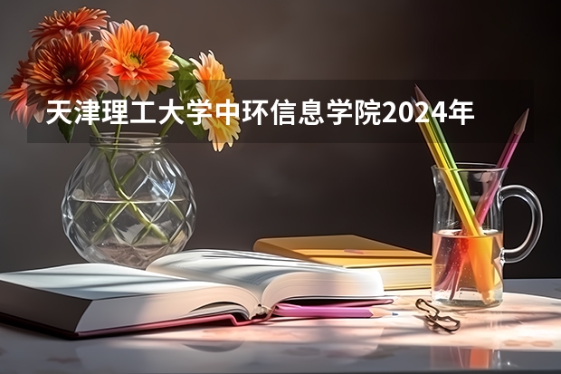 天津理工大学中环信息学院2024年在四川招生情况