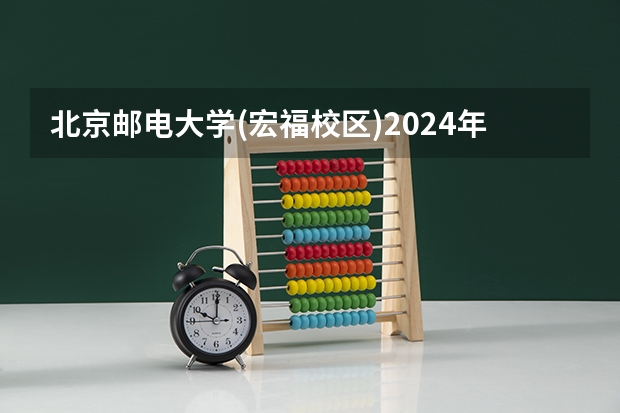 北京邮电大学(宏福校区)2024年在山东有什么招生计划