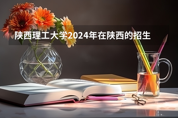 陕西理工大学2024年在陕西的招生情况