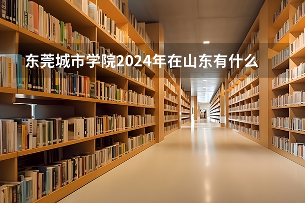 东莞城市学院2024年在山东有什么招生计划