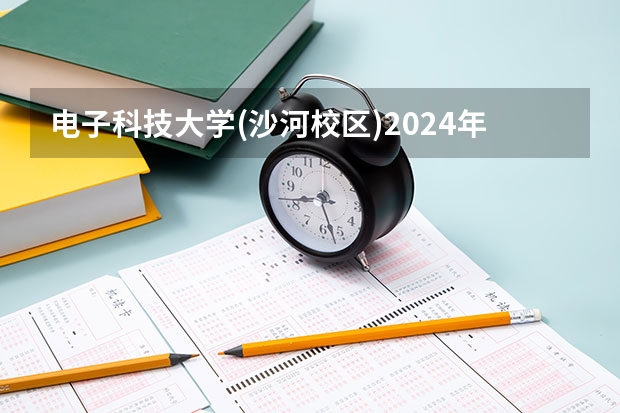 电子科技大学(沙河校区)2024年在山东有什么招生计划
