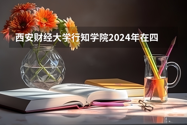 西安财经大学行知学院2024年在四川招生情况