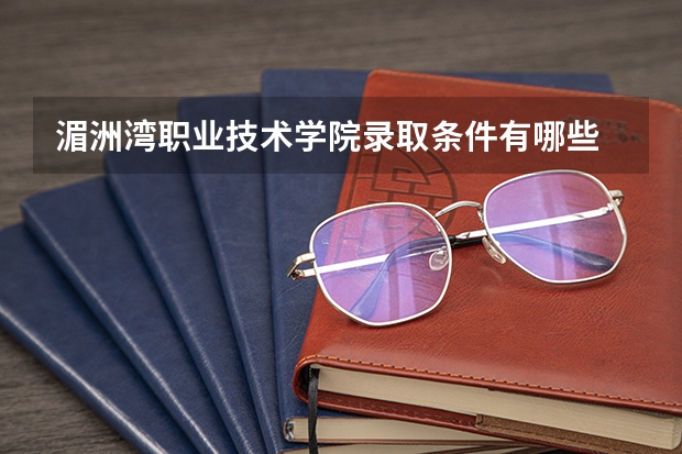 湄洲湾职业技术学院录取条件有哪些 学费贵吗？