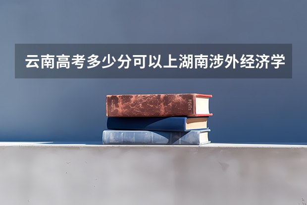 云南高考多少分可以上湖南涉外经济学院(最低分+最低位次排名)