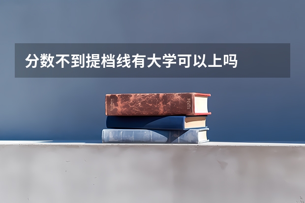 分数不到提档线有大学可以上吗