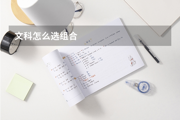 文科怎么选组合