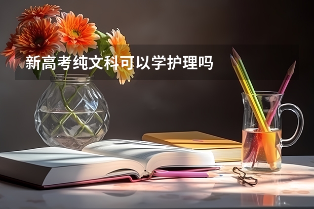 新高考纯文科可以学护理吗