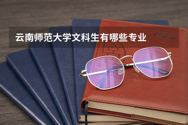云南师范大学文科生有哪些专业
