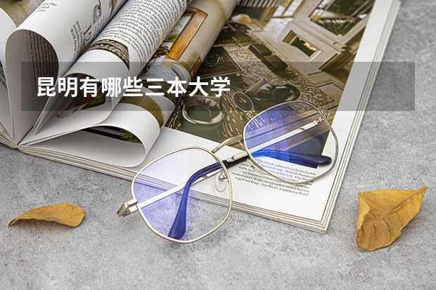 昆明有哪些三本大学
