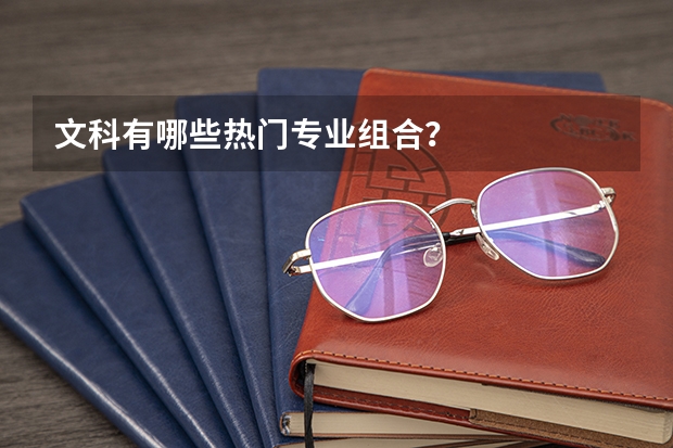 文科有哪些热门专业组合？