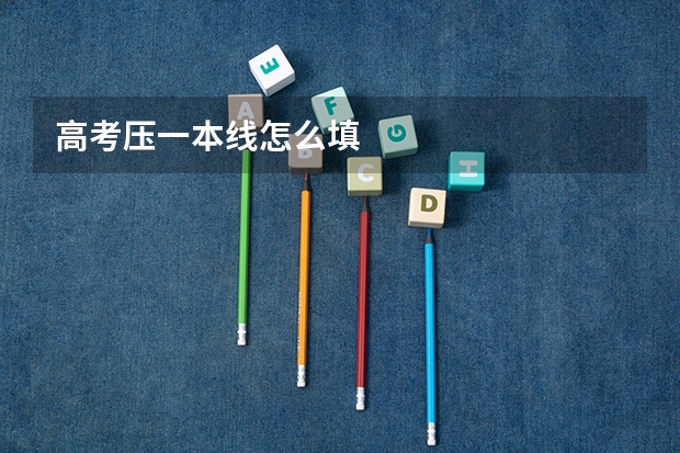 高考压一本线怎么填