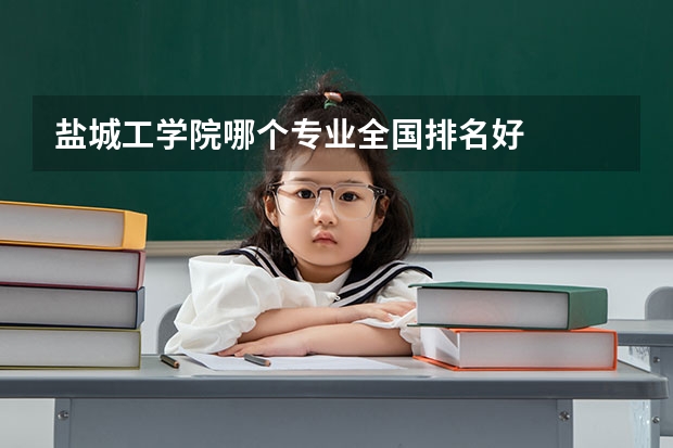 盐城工学院哪个专业全国排名好